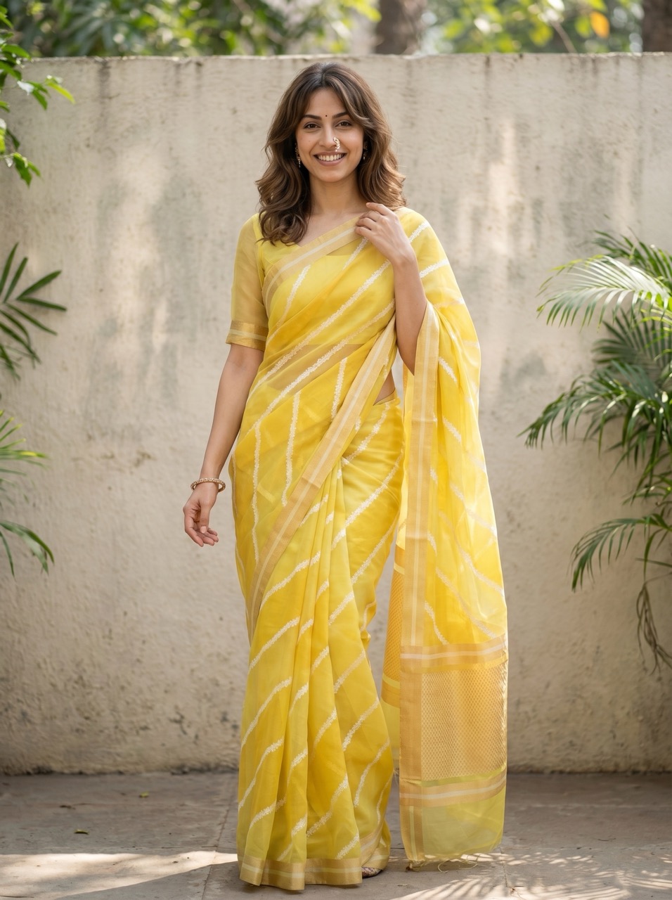 Saree portfolio visual 4