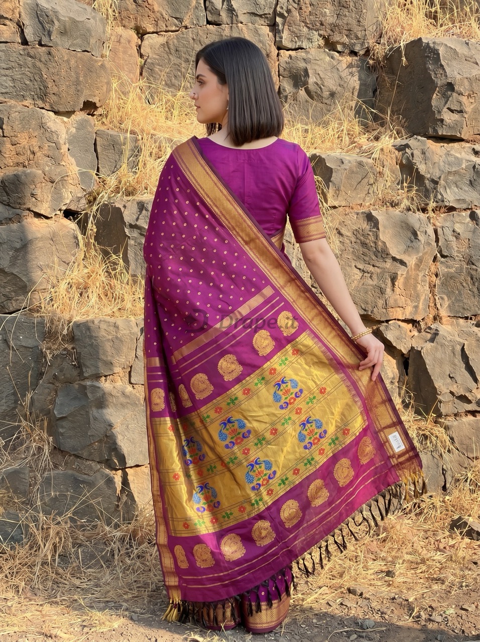 Saree portfolio visual 6