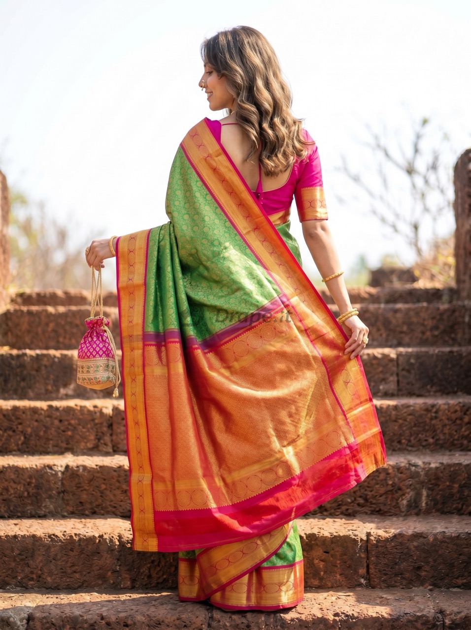 Saree portfolio visual 8