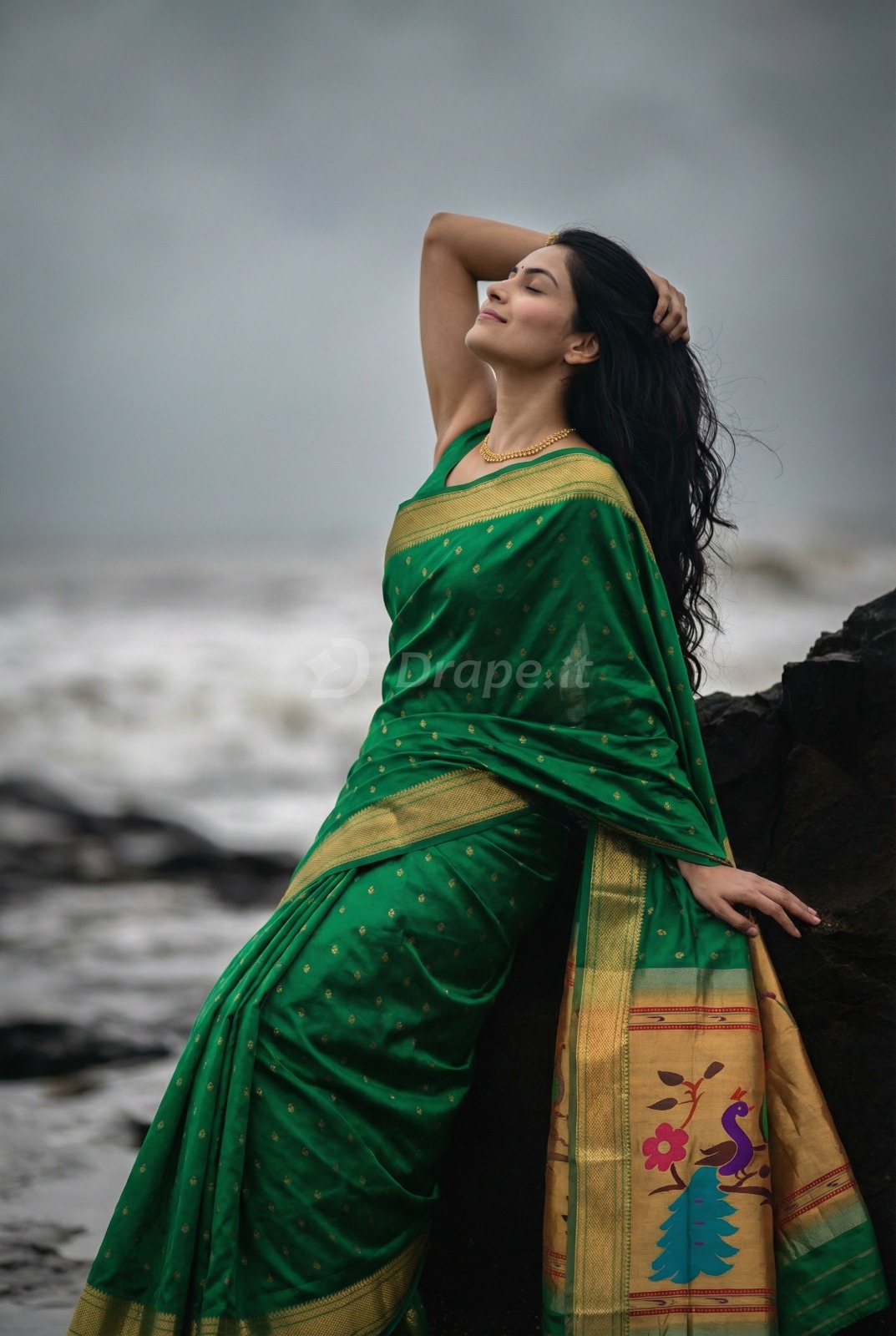Saree creative visual 2